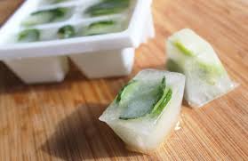 Glaçon Aloe Vera