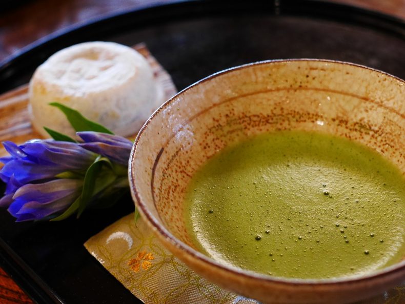 The Matcha