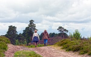 Marche à Pied Ou Randonnée